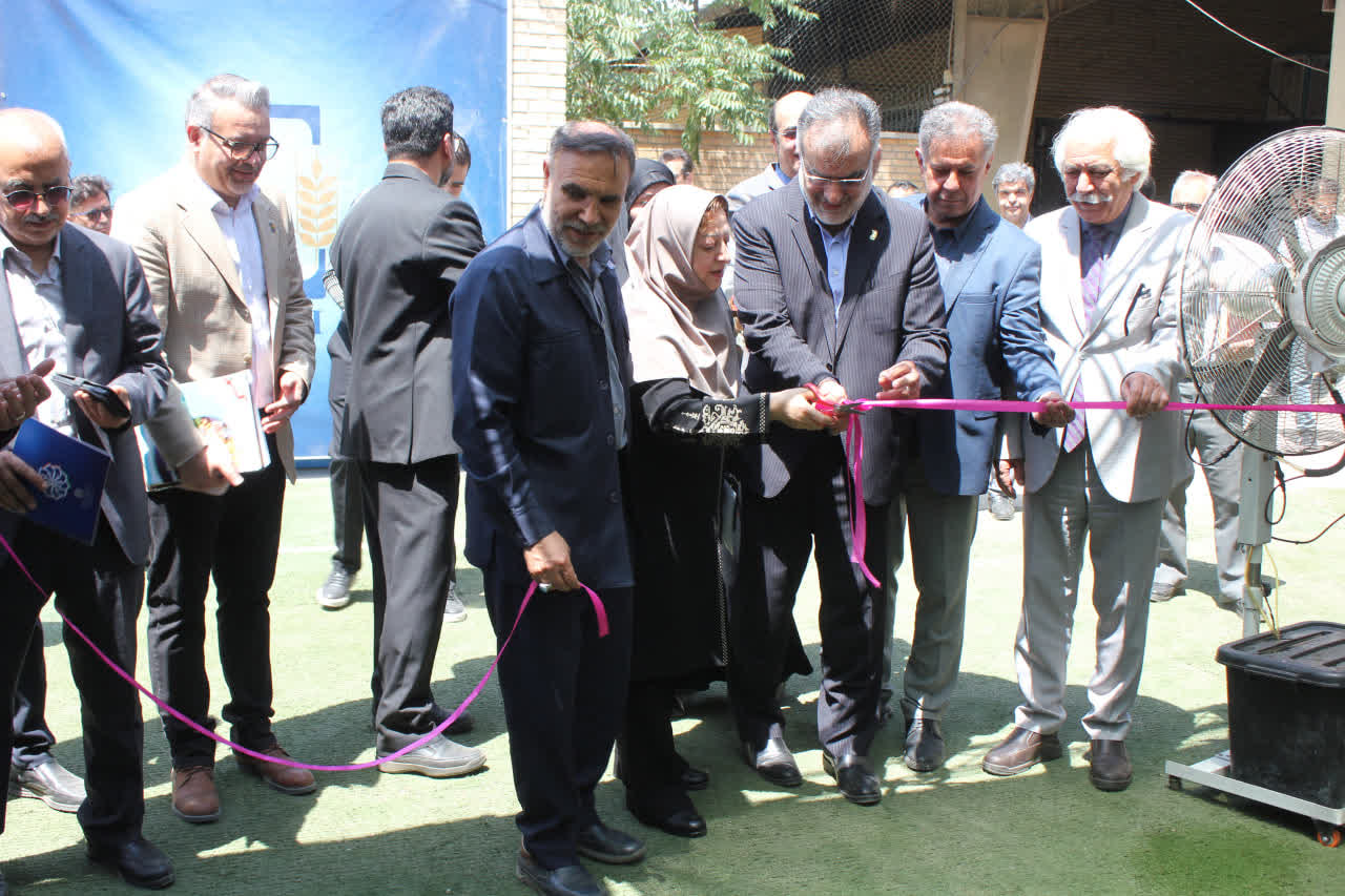 زیست‌بوم فناوری و نوآوری