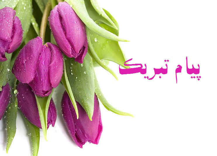ارتقای رتبه سازمانی جناب آقای مهدی حیدرزاده در مؤسسه تحقیقات فنی و مهندسی کشاورزی
